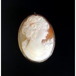 SHELL CAMEO BROOCH PENDANT depicting a young woman in profile, in nine carat gold mount, 4.1cm high