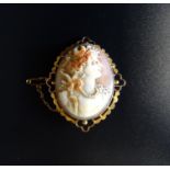 SHELL CAMEO BROOCH in pierced nine carat gold mount with safety chain, the oval cameo depicting a