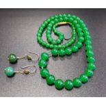 GRADUATED GREEN JADE BEAD NECKLACE 43.5cm long; together with a pair of nine carat gold mounted jade
