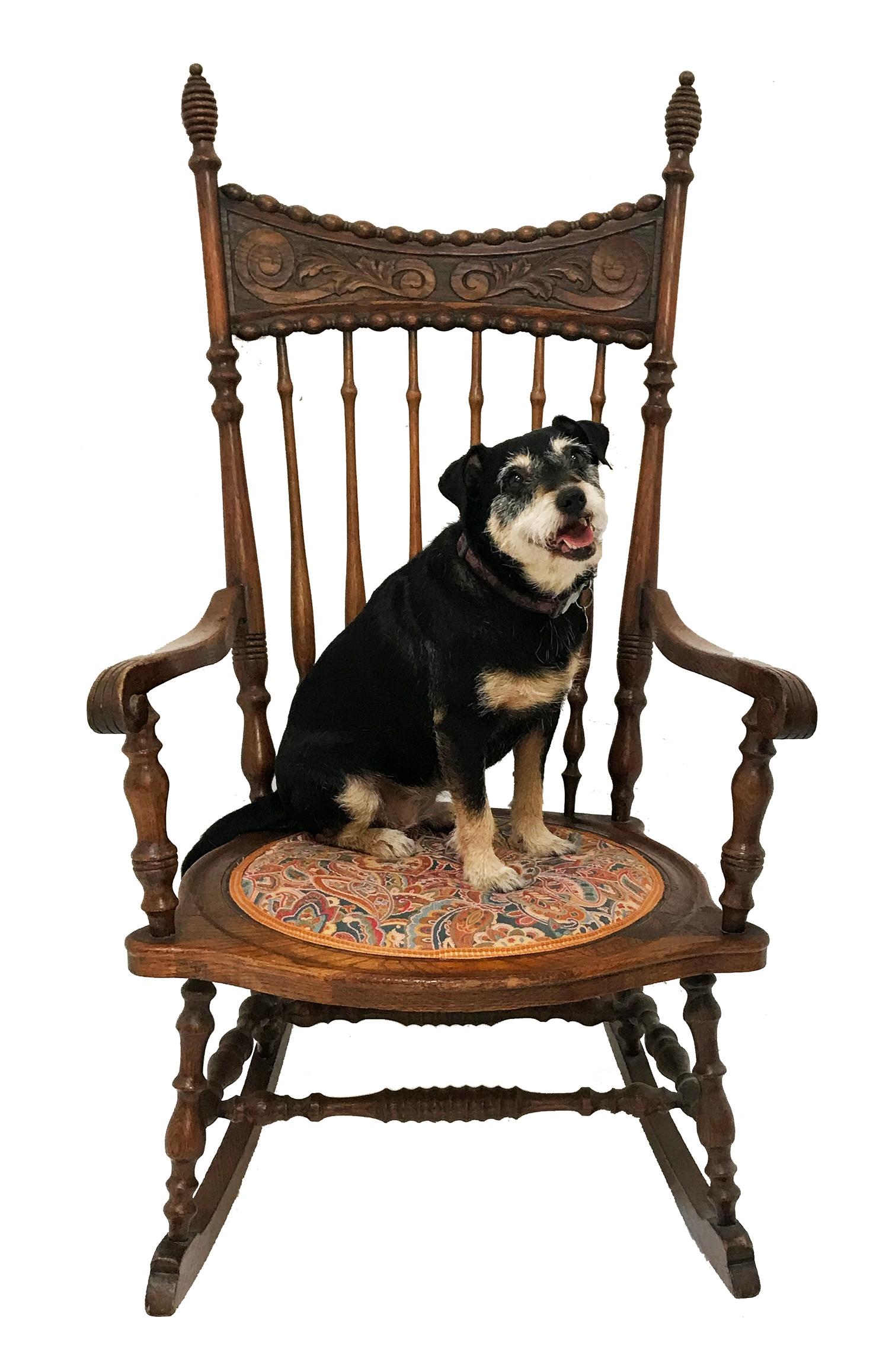 AMERICAN OAK AND ELM ROCKING CHAIR with a shaped and carved top rail above a shaped stick back