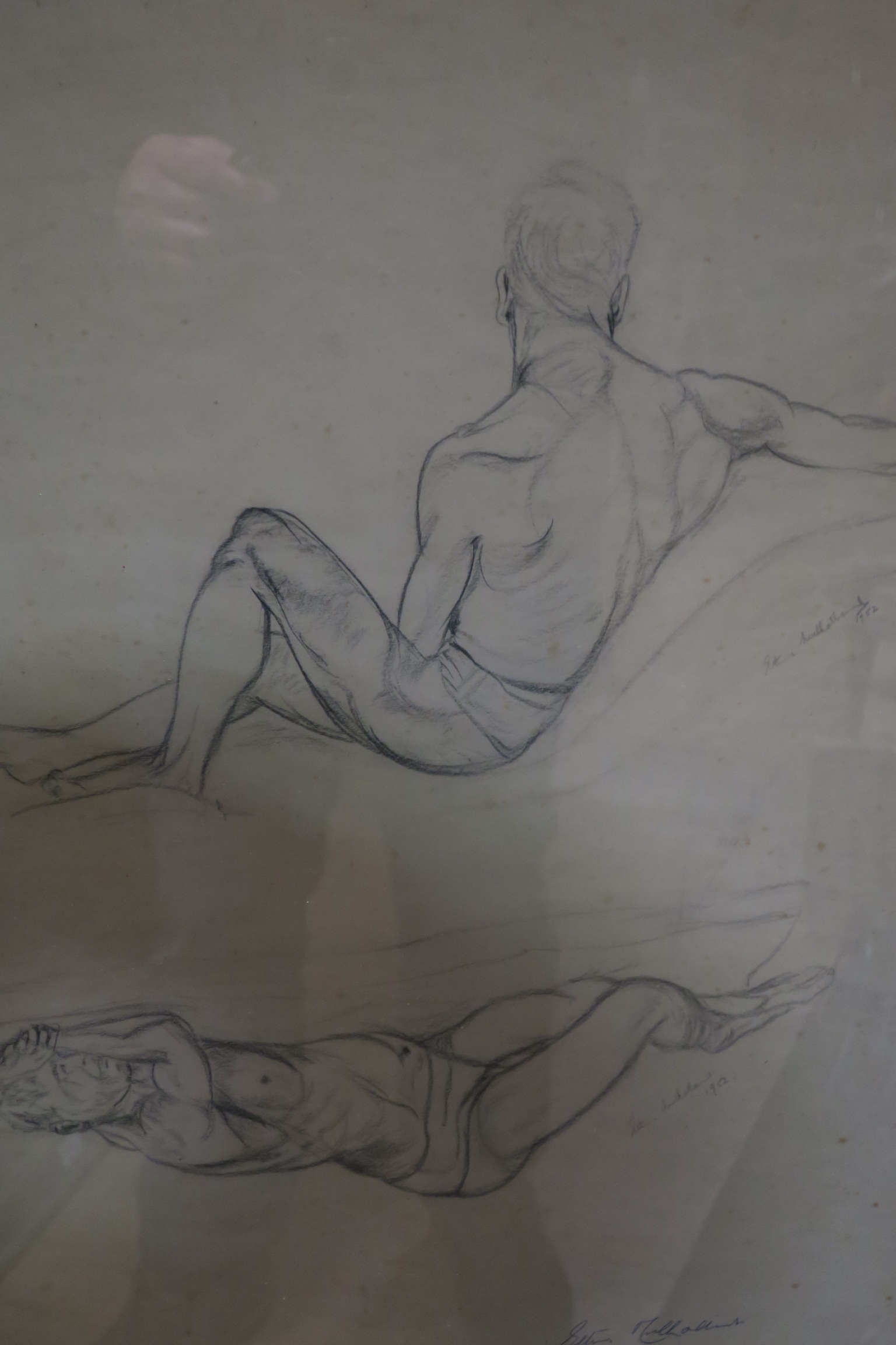 SHAUNA MULHOLLAND Male Nude Studies Charcoal and pastel drawings A pair Signed lower right 55cm