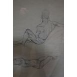 SHAUNA MULHOLLAND Male Nude Studies Charcoal and pastel drawings A pair Signed lower right 55cm