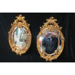 A PAIR OF CONTINENTAL GILT FRAME MIRRORS each of oval outline.