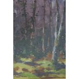 JOHN FLYNN Tree Study Oil on canvas Signed lower left 22cm (h) x 17cm (w)