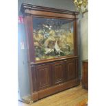 A FINE 19TH CENTURY MAHOGANY DISPLAY CABINET containing a collection of exotic birds to include