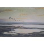 PETER SCOTT Ducks in flight colour prints each signed in the margin (2) 38cm x 55cm