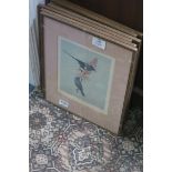 A SIX COLOURED PRINTS depicting tropical birds in oak frames