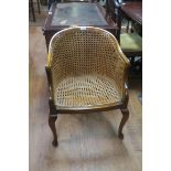 A STAINED WOOD TUB SHAPED CHAIR with cane back and seat on cabriole legs with pad feet