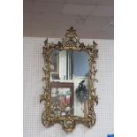 A CONTINENTAL GILT FRAME MIRROR,