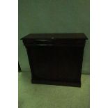 A 19TH CENTURY MAHOGANY SIDE CABINET of rectangular outline the shaped top above two frieze drawers