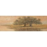 Alexander John Drysdale (American/New Orleans, 1870-1934) , "Louisiana Oak Tree on the Bayou", oil