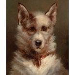 Continental School, 19th c ., "Portrait of a Dog with Handkerchief", oil on canvas, indistinctly