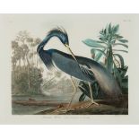 John James Audubon (American, 1785-1851), "Louisiana Heron", Plate 217, hand-colored aquatint with