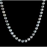 Tahitian Pearl Necklace, 35 graduated round dark gray pearls, 11-13 mm, 14 kt. white gold bead