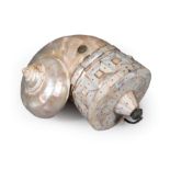 Indian Turbo Marmoratus Shell Powder Flask, late 17th/early 18th c., with pinned geometric design,