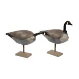 Pair of Painted Plaster Canada Geese Decoys, 20th c., with iron spikes, later wood bases, tallest h.