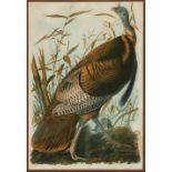 John James Audubon (American, 1785-1851), "Wild Turkey", Plate 287 from The Birds of America, Bien