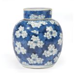 Chinese Blue and White Porcelain Hawthorn Pattern Covered Jar, 18th c., Kangxi, decorated with