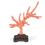 Chinese Coral Figural Group of Eight Beauties or Meiren, trunk and branches intricately carved
