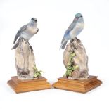 Pair of Royal Worcester Dorothy Doughty Porcelain "Mountain Bluebirds" with Spleenwort Niger,