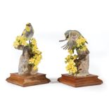 Pair of Royal Worcester Dorothy Doughty Porcelain "Audubon Warblers" with Palo Verdi, 1963,