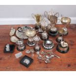 Proceeds to Rowans Hospice Silver Appeal - A quantity of various silver-plated trophies and stands