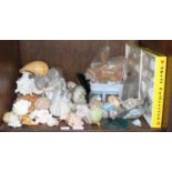 SECTION 37. A collection of various sea shells, minerals, rocks and crystals, two marble eggs and