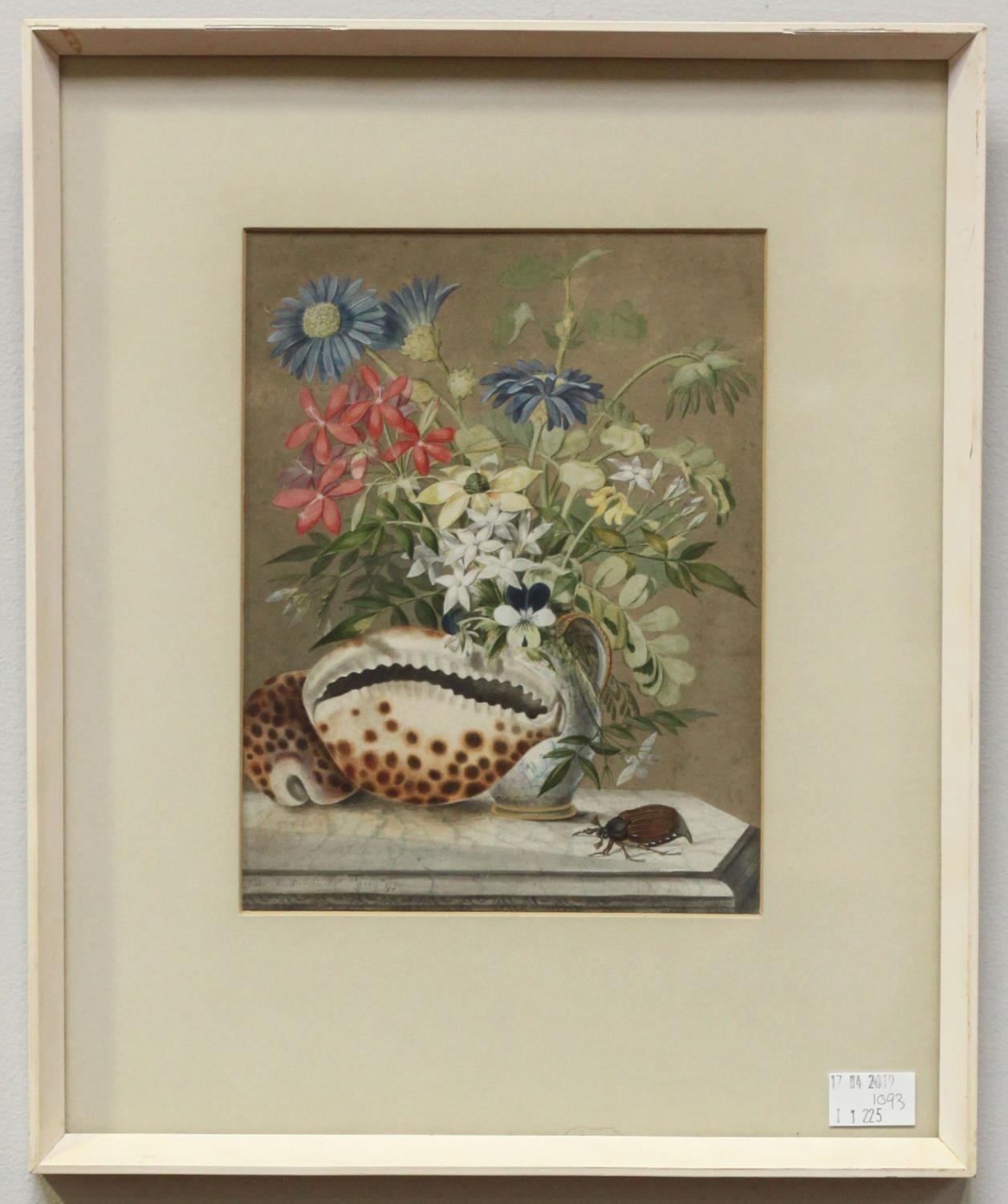 A still life study of flowers, shells and a stag beetle, watercolour, indistinctly signed John