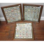 Three framed and glazed cigarette card sets, comprising Butterflies and motorcars, each set with