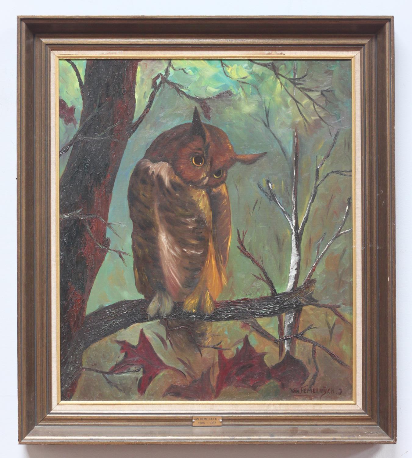 Van Hemelrijck J, oil on canvas, owl perched in tree, gilt framed, 69x59cm