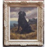 John Trickett (b.1952) Portrait study of a seated black Labrador on a hilltop, with sea and