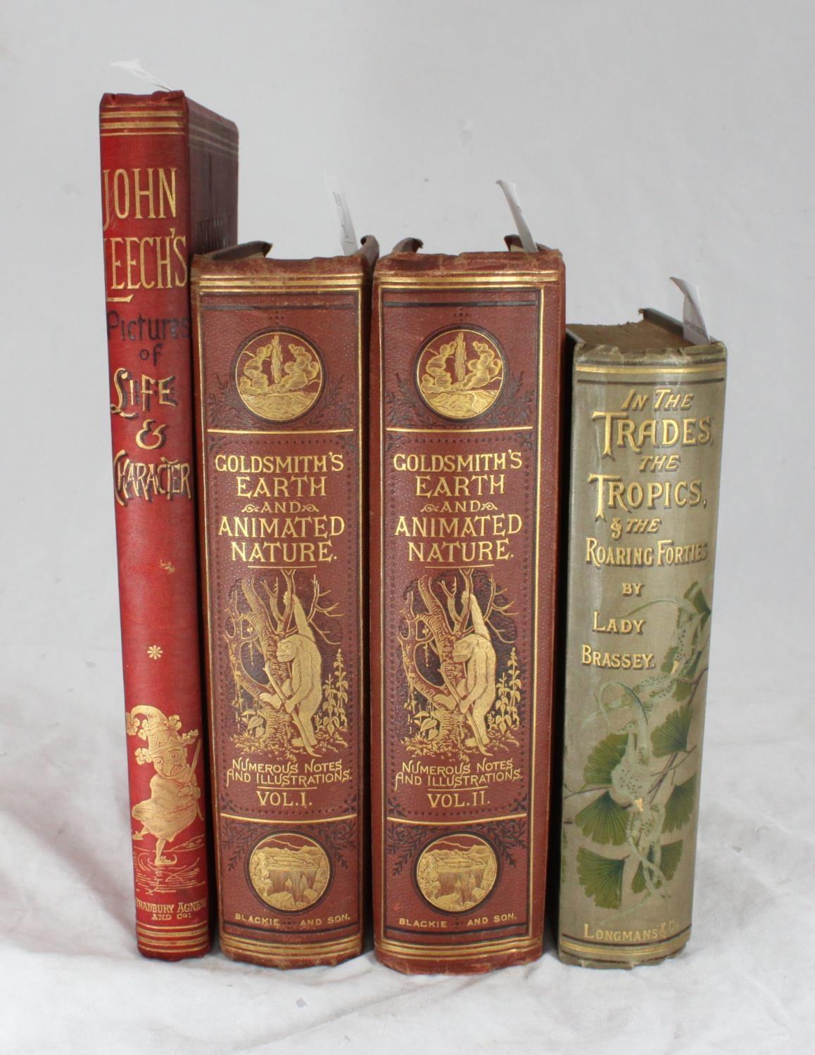Goldsmith, Oliver, 'A History of The Earth and Animated Nature' Volumes I & II, published by Blackie - Bild 2 aus 2