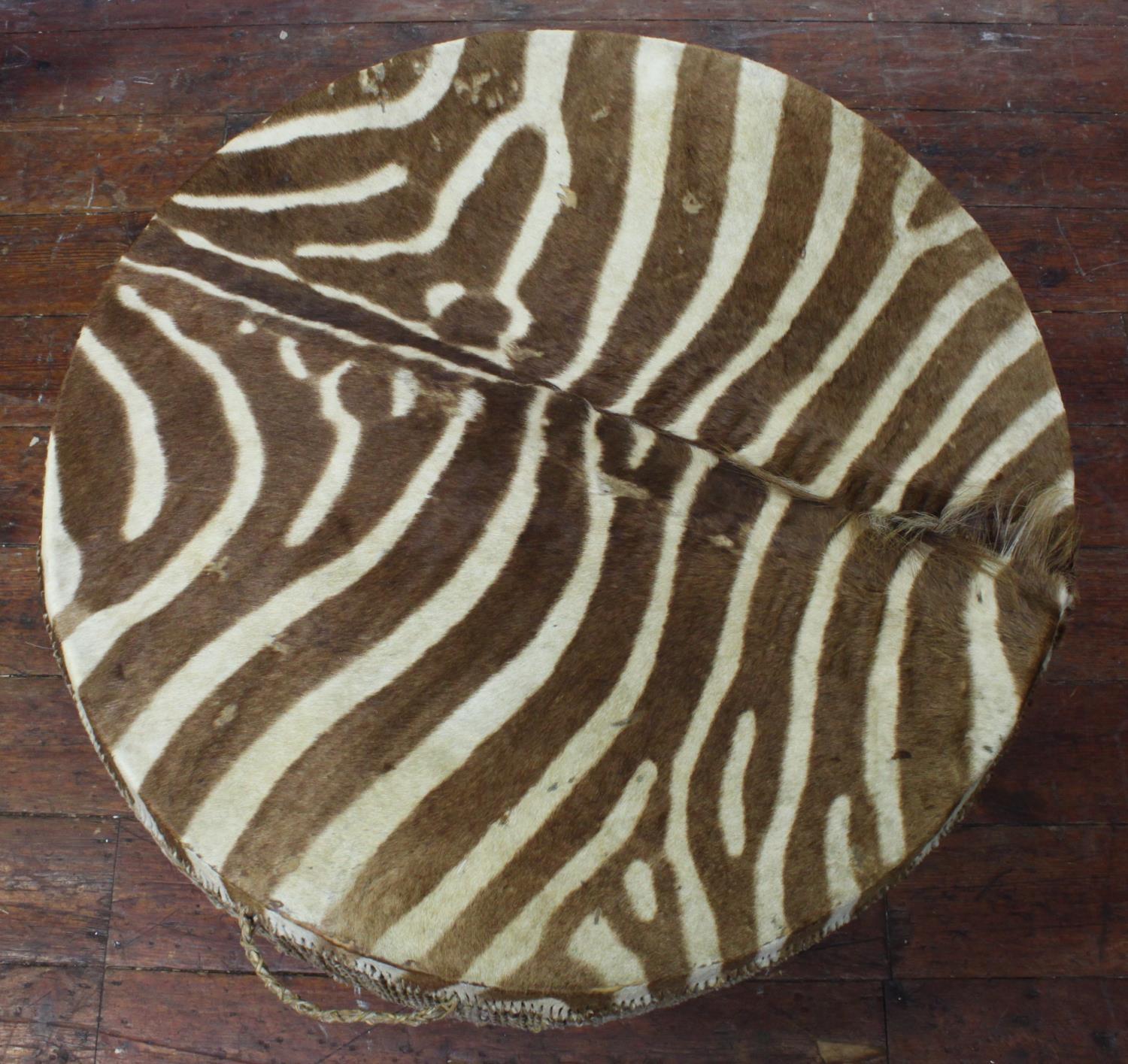 A large antique zebra hide floor drum table believed to be early 20th century with twisted rawhide - Image 4 of 6