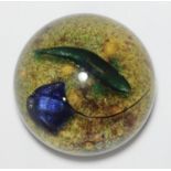 A William Manson limited edition glass paperweight, modelled with a fish and stingray, 119/150, with
