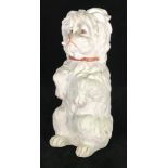 An early 20th century Gerbruder Heubach bisque porcelain figure of lap dog, modelled in seated