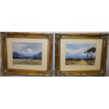 W F Cooper. A pair of Irish signed watercolours of the Wicklow Hills and a cabin on a river, 7.