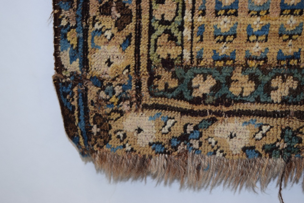 Two Caucasian rugs, early 20th century, the first, Derbend rug fragment, north east Caucasus, 4ft. - Image 21 of 24