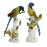 Pair of Meissen Porcelain Parrots