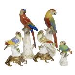 Five Meissen Porcelain Parrot Figures