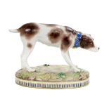 Meissen Porcelain Figure of a Hunting Dog