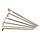 Collection of Six Canes