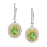 Pair of Tsavorite Garnet and Diamond Earrings