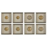 Collection of Eight Sand Dollars