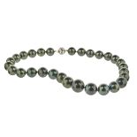 Tahitian Pearl Necklace