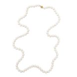 Long Pearl Necklace