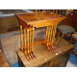 A nest of spindly legged Yew wood finished occasional Tables.