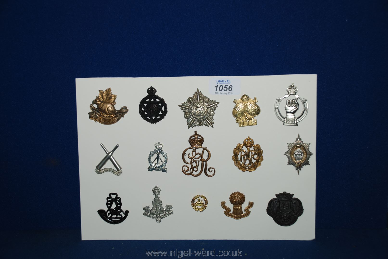 Fifteen British military cap badges.