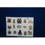 Fifteen British military cap badges.