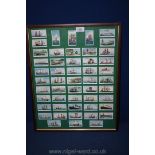 A framed set of Cigarette Cards of naval ships