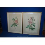 A pair of framed needle points of roses.